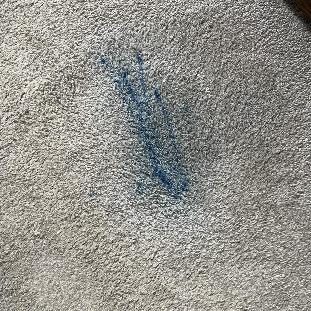 domestic case study before